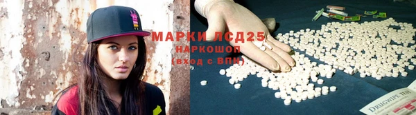 гашик Мегион