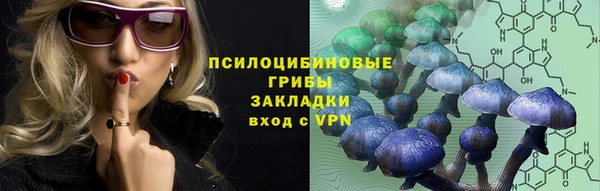 гашик Мегион