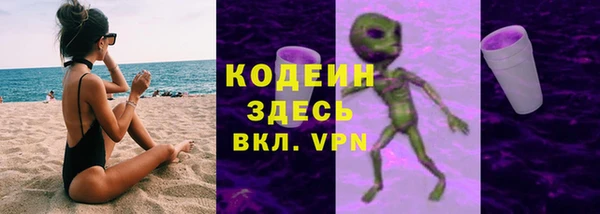 гашик Мегион