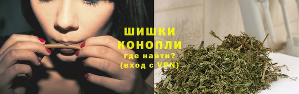 гашик Мегион