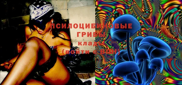 гашик Мегион