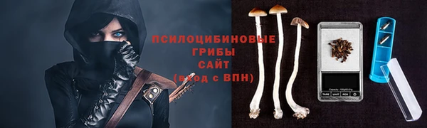 гидропоника Медвежьегорск