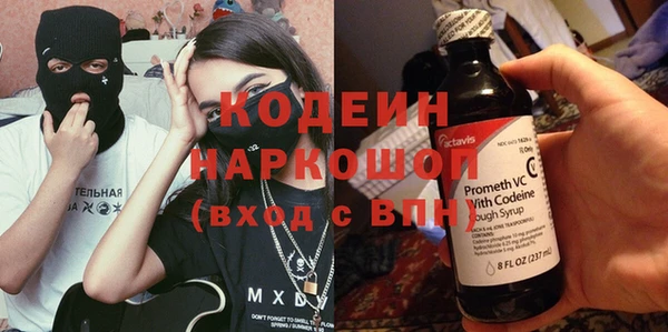 гашик Мегион