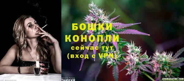 гашик Мегион