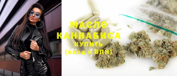 гашик Мегион