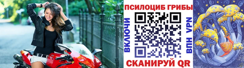 Псилоцибиновые грибы Cubensis  где продают   omg онион  Сретенск 